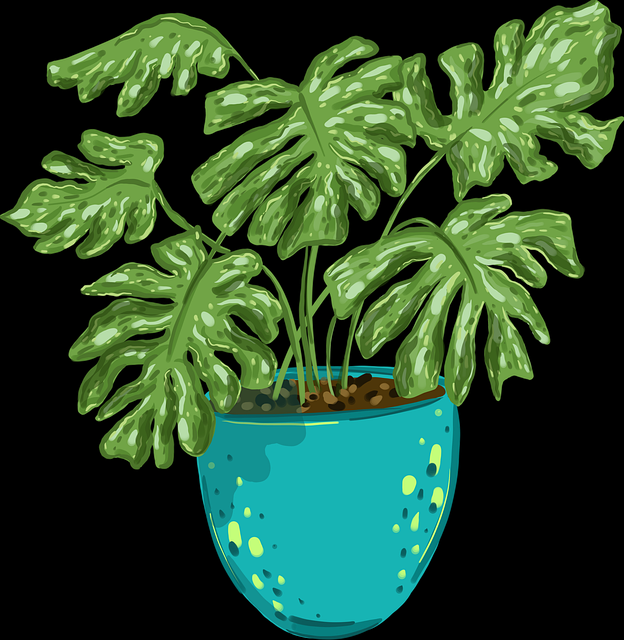 【抖音成人版】彩蛋级视听革命破圈 - 通关秘籍，抖音2成人版