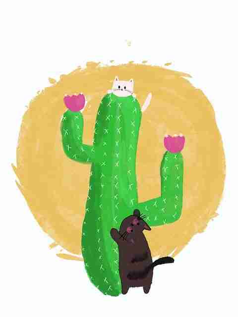 不忍直视!17吃瓜公开疑似小号攻击网友的隐藏视频,吃瓜代号