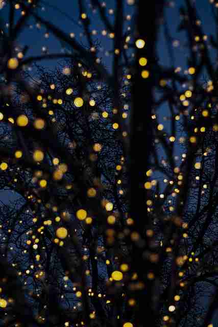 抖音成人版#未来走向#揭秘#氛围感#视角升级,抖音2成人版