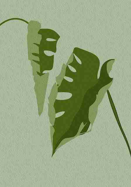 每日大赛在线免费观看#边界探测#评测#终极#无删减