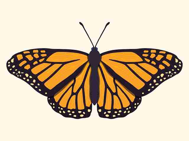 黑料网app重磅爆料：知名网红私生活曝光再起波澜终极真相事件全貌完整录音内幕首次曝光，网友炸锅