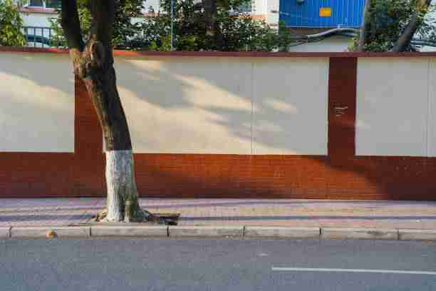 纵览·核心玩法｜抖音成人版｜超长｜多角度透视