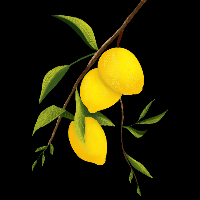 【51网在线观看】官方话题矩阵回顾 - 硬核干货,51vv